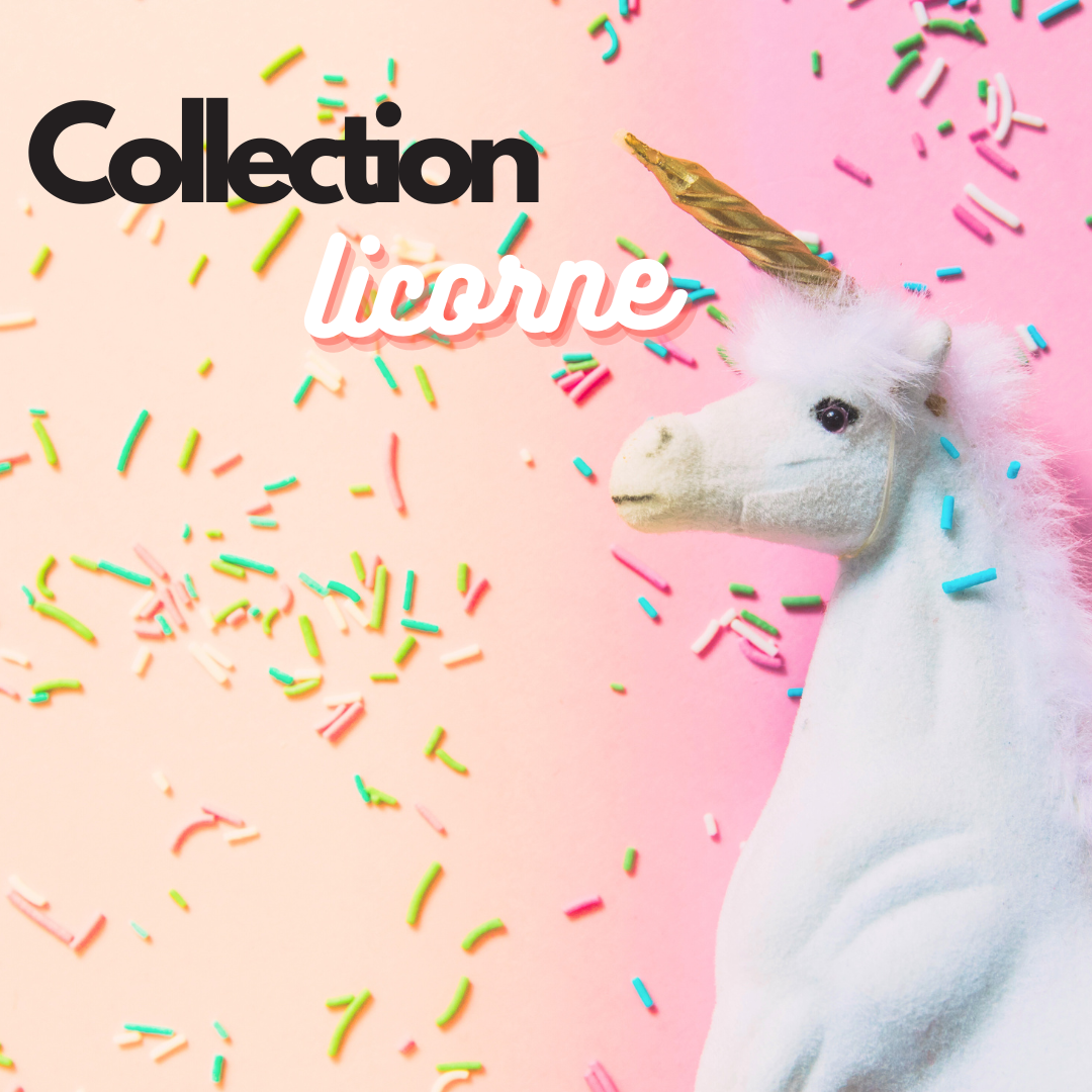 Le thème licorne